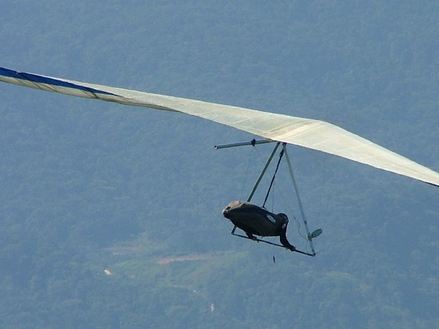 DSCF7491.jpg